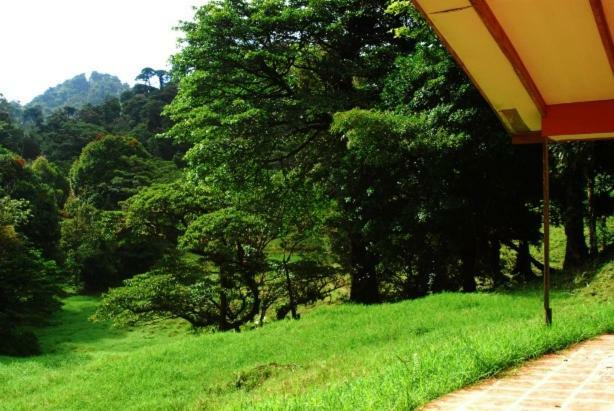 Finca Terra Viva Monteverde 외부 사진
